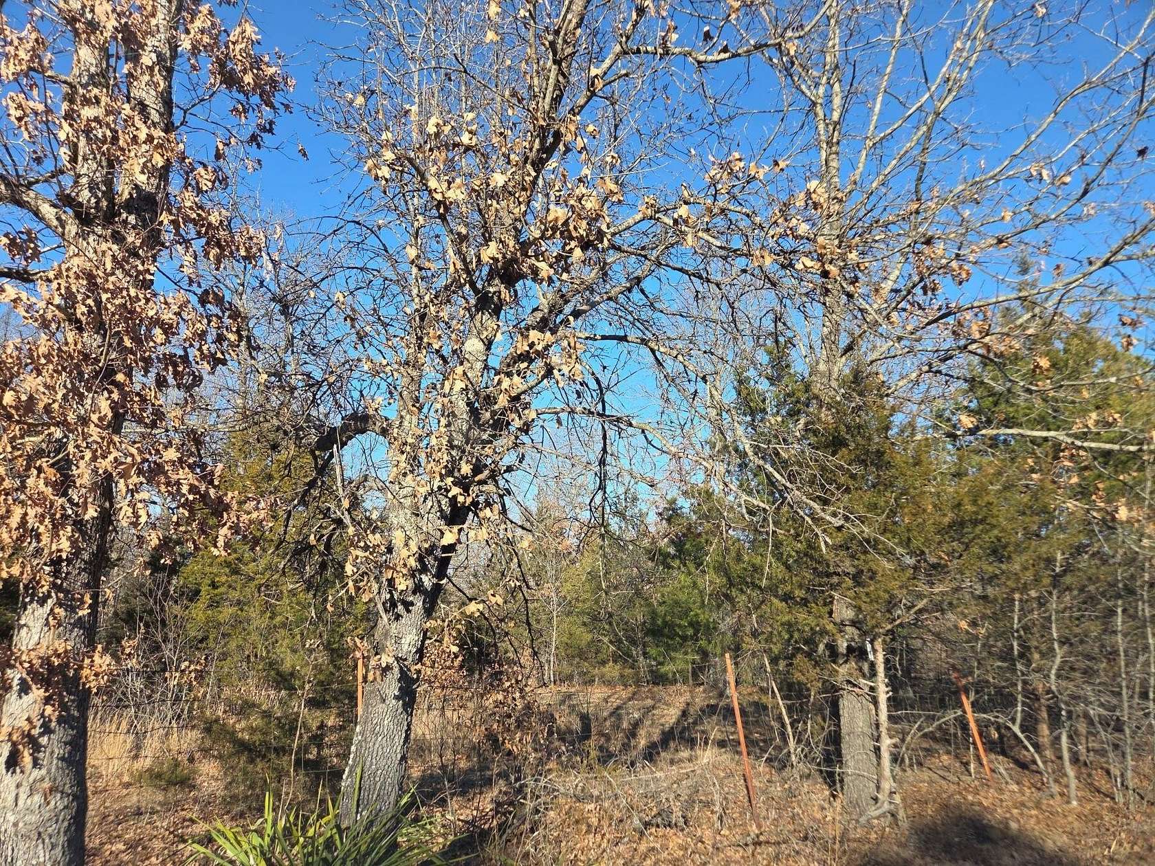 18.8 Acres of Recreational Land for Sale in Tunas, Missouri