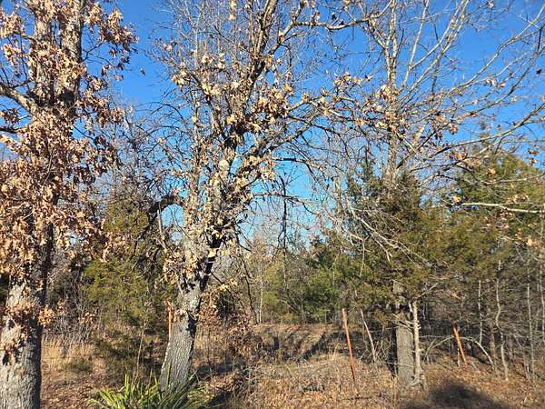 18.8 Acres of Recreational Land for Sale in Tunas, Missouri