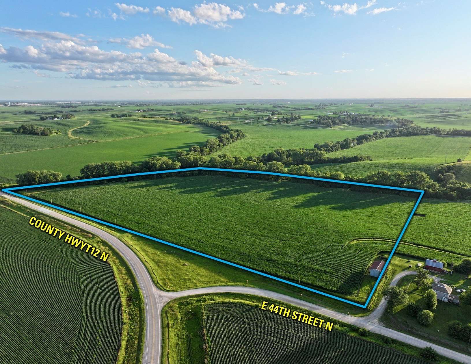 77.4 Acres of Agricultural Land for Auction in Newton, Iowa