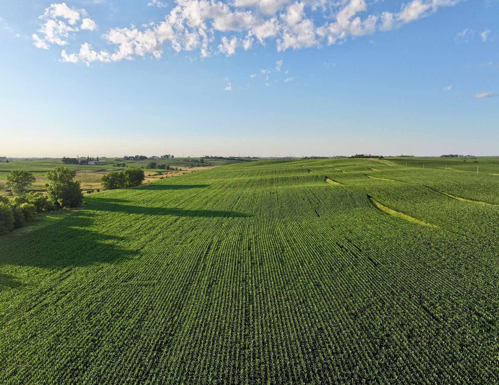 32.6 Acres of Recreational Land & Farm for Auction in Newton, Iowa