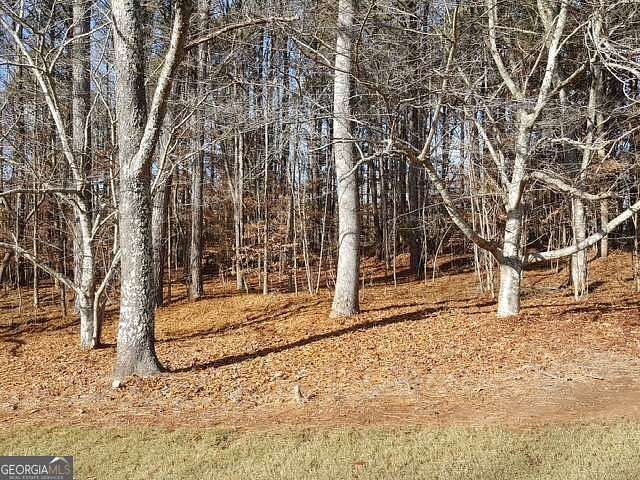 1.24 Acres of Residential Land for Sale in Ball Ground, Georgia