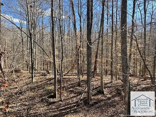 56 Acres of Land for Sale in Stuart, Virginia