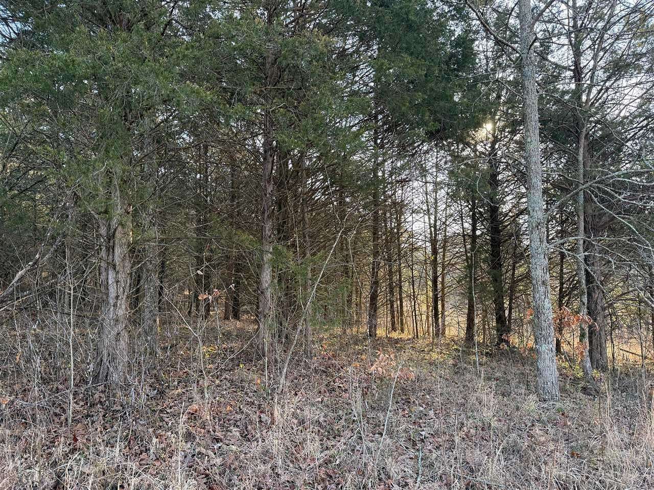 10 Acres of Recreational & Residential Land for Sale in Edmonton, Kentucky