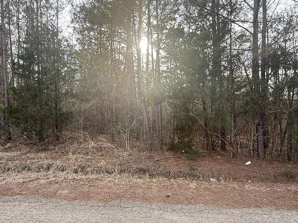1.3 Acres of Residential Land for Sale in Shannon, Mississippi