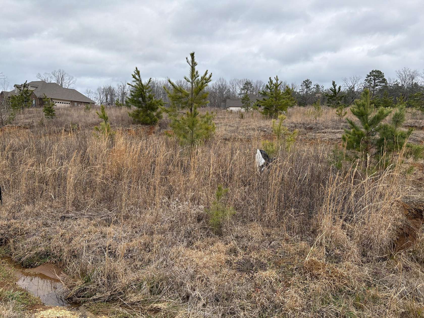 1.5 Acres of Residential Land for Sale in New Albany, Mississippi