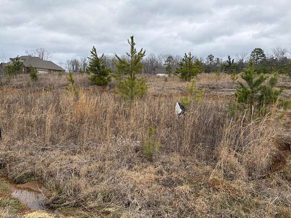 1.5 Acres of Residential Land for Sale in New Albany, Mississippi