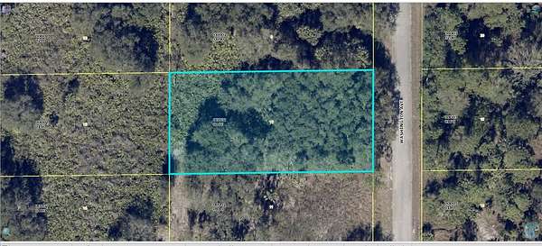 Residential Land for Sale in Lehigh Acres, Florida