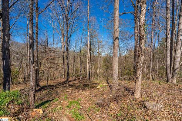 0.56 Acres of Residential Land for Sale in Spartanburg, South Carolina