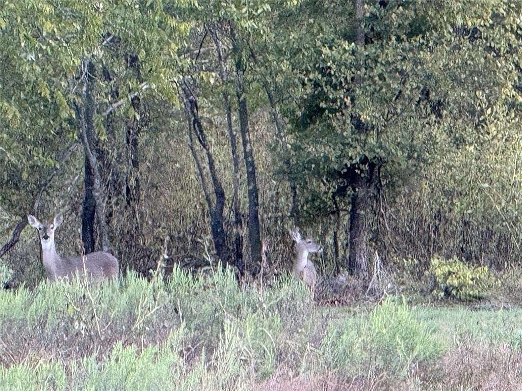 14 Acres of Land with Home for Sale in Hico, Texas