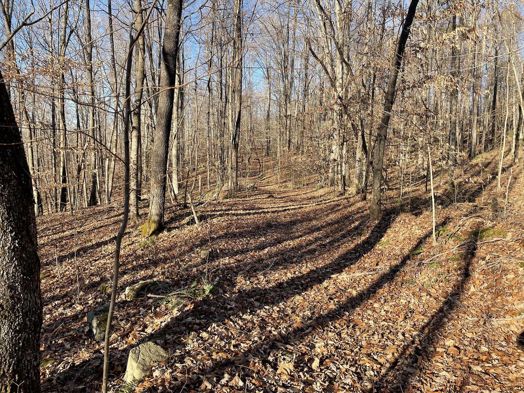 13.4 Acres of Recreational Land for Sale in Burnside, Kentucky