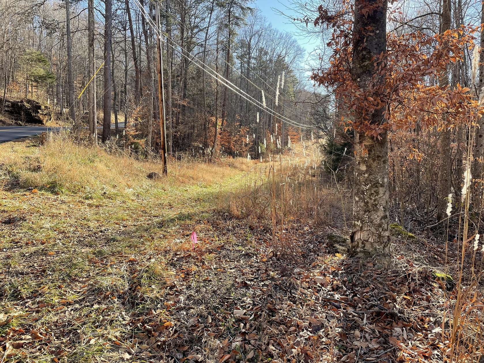 47.5 Acres of Recreational Land for Sale in Burnside, Kentucky