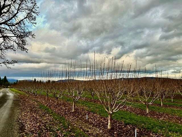 60 Acres of Agricultural Land for Sale in Hood River, Oregon