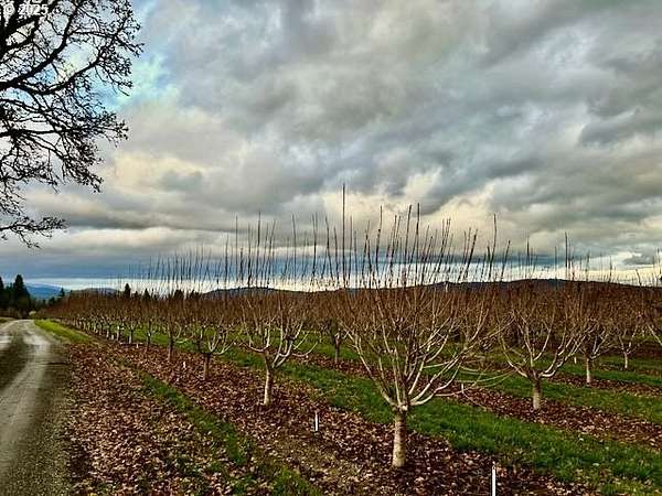 60 Acres of Agricultural Land for Sale in Hood River, Oregon