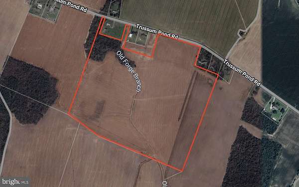 62.3 Acres of Land for Sale in Laurel, Delaware