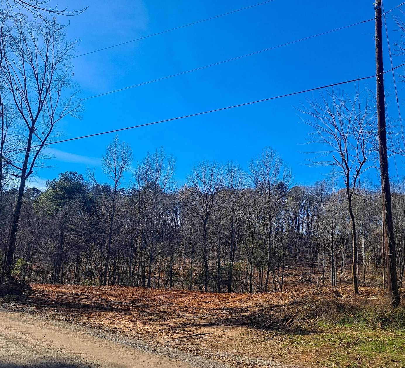 10 Acres of Residential Land for Sale in Parrish, Alabama