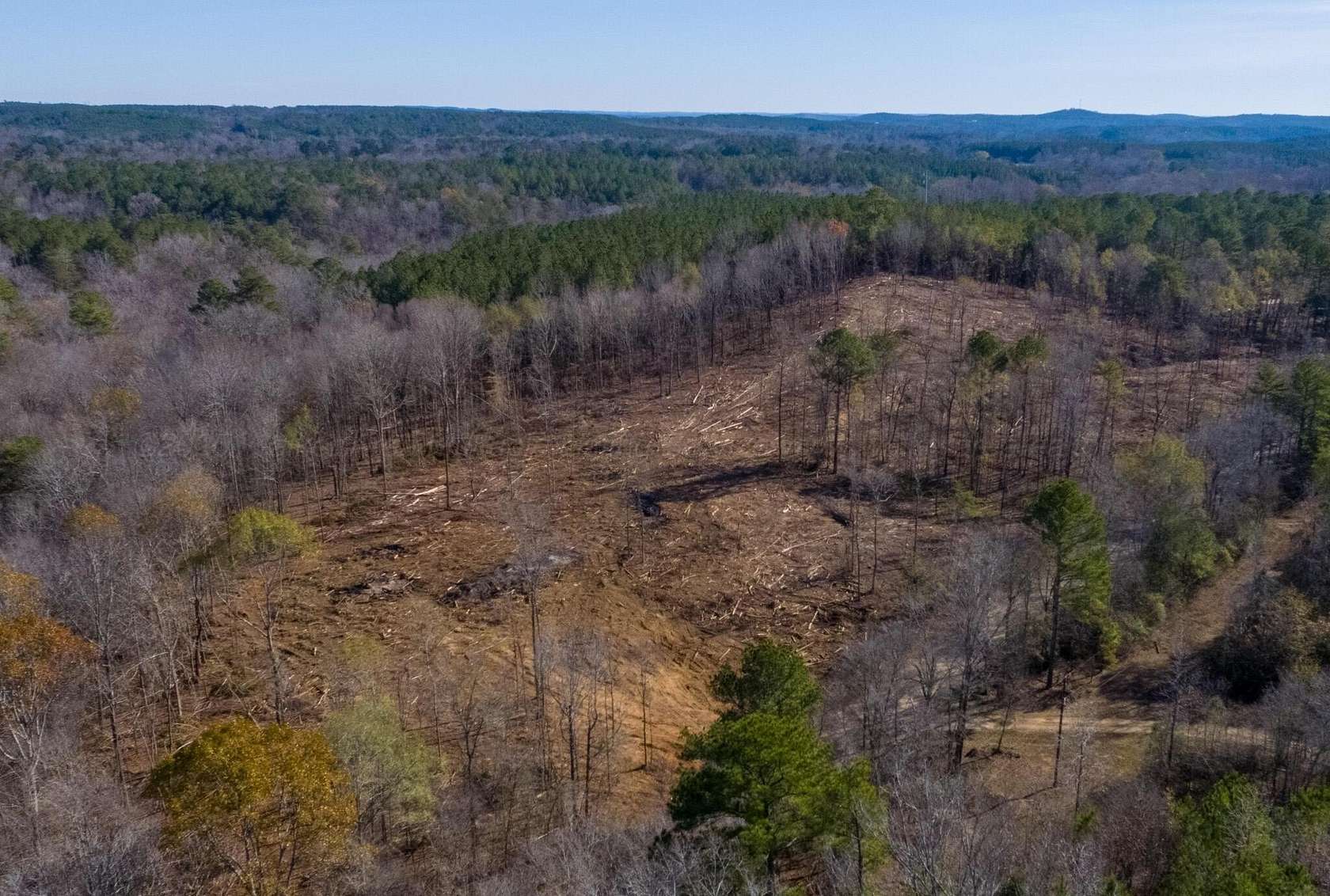 11 Acres of Agricultural Land for Sale in Parrish, Alabama