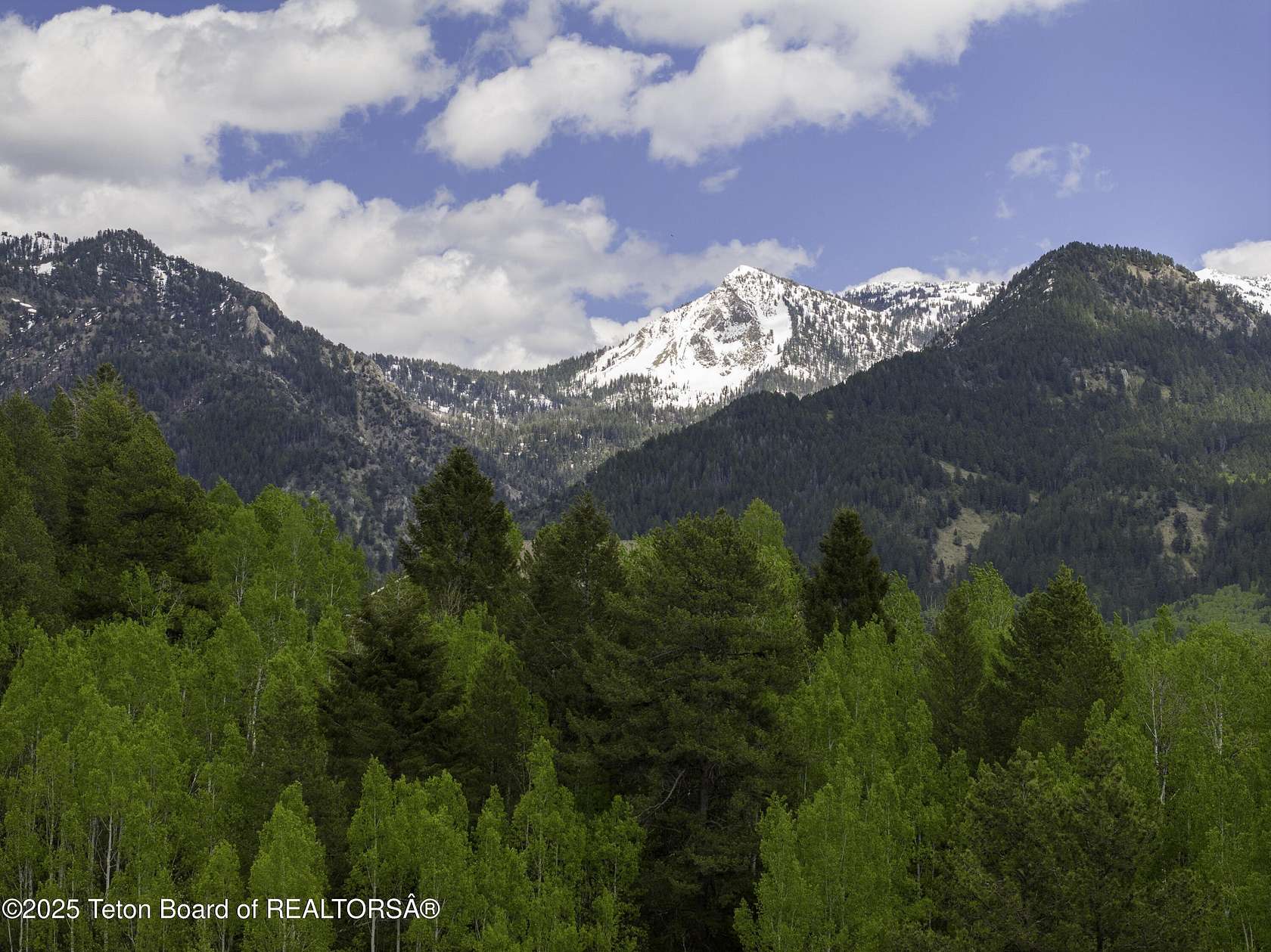 8 Acres of Residential Land for Sale in Alpine, Wyoming