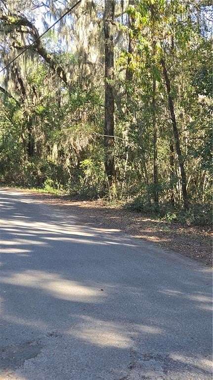 2 Acres of Residential Land for Sale in Darien, Georgia