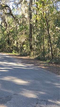 2 Acres of Residential Land for Sale in Darien, Georgia