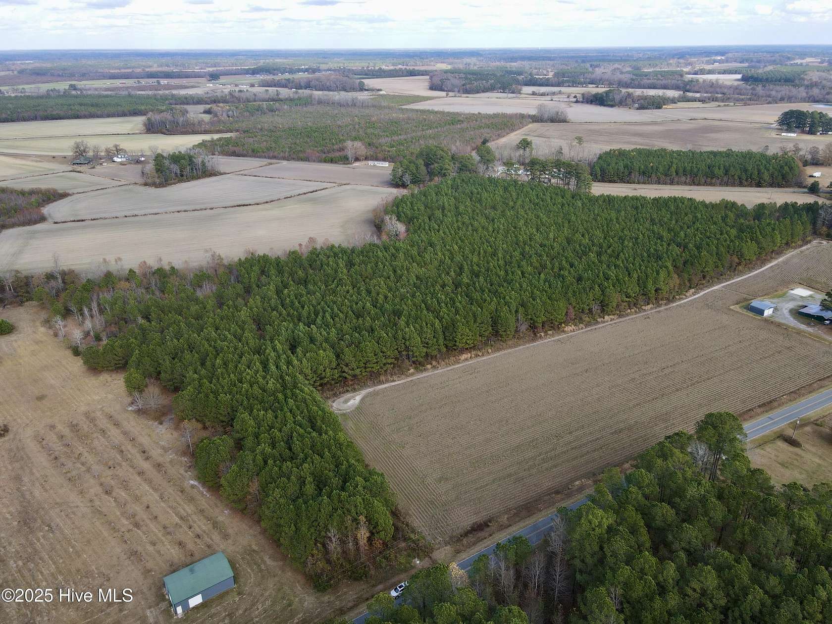 16.7 Acres of Land for Sale in Williamston, North Carolina