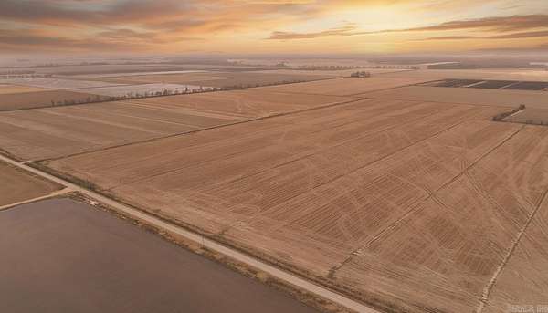 227 Acres of Land for Auction in Corning, Arkansas