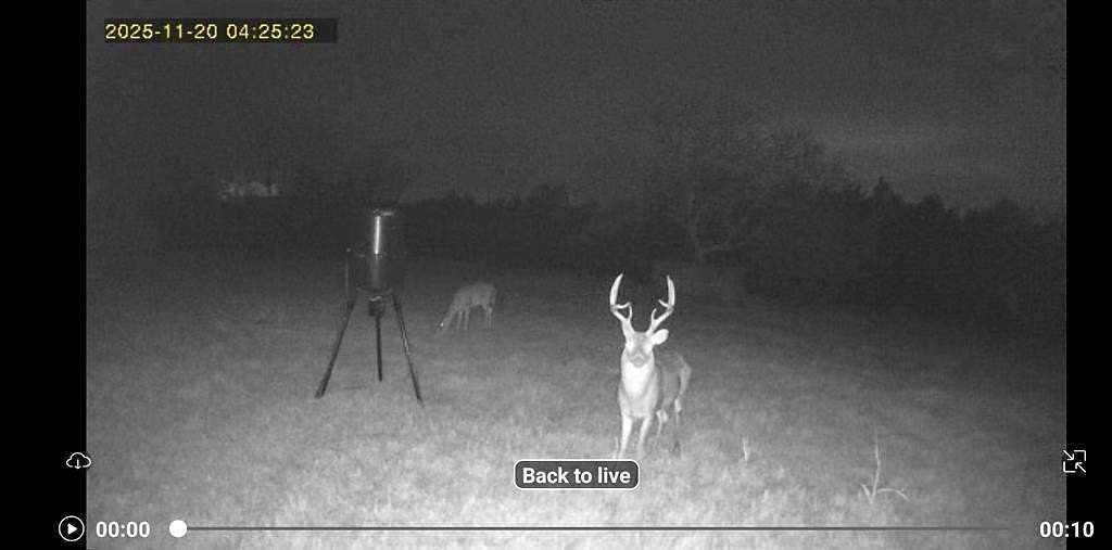 77.3 Acres of Recreational Land & Farm for Sale in Holdenville, Oklahoma