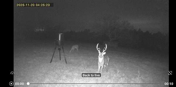 77.3 Acres of Recreational Land & Farm for Sale in Holdenville, Oklahoma