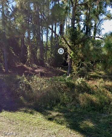 0.29 Acres of Land for Sale in Lehigh Acres, Florida