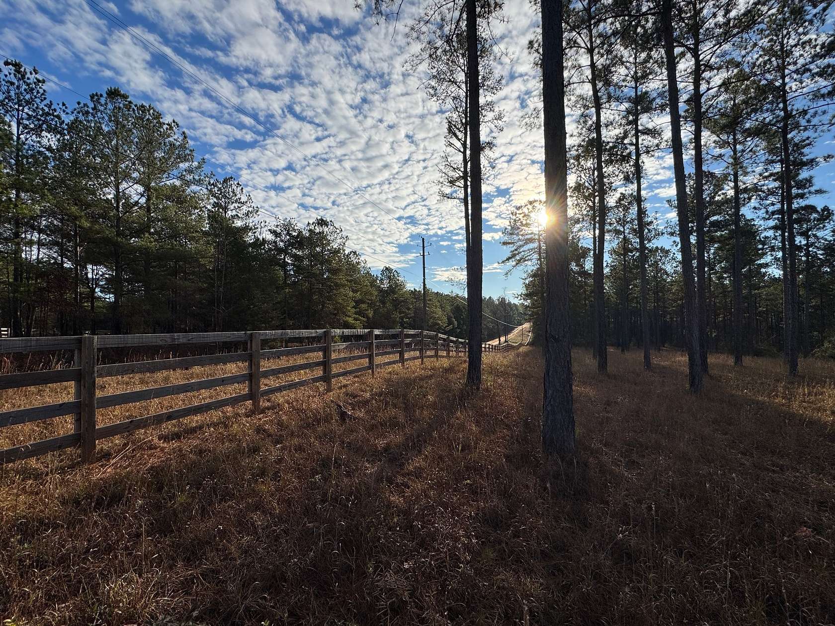 39 Acres of Land for Sale in Camp Hill, Alabama