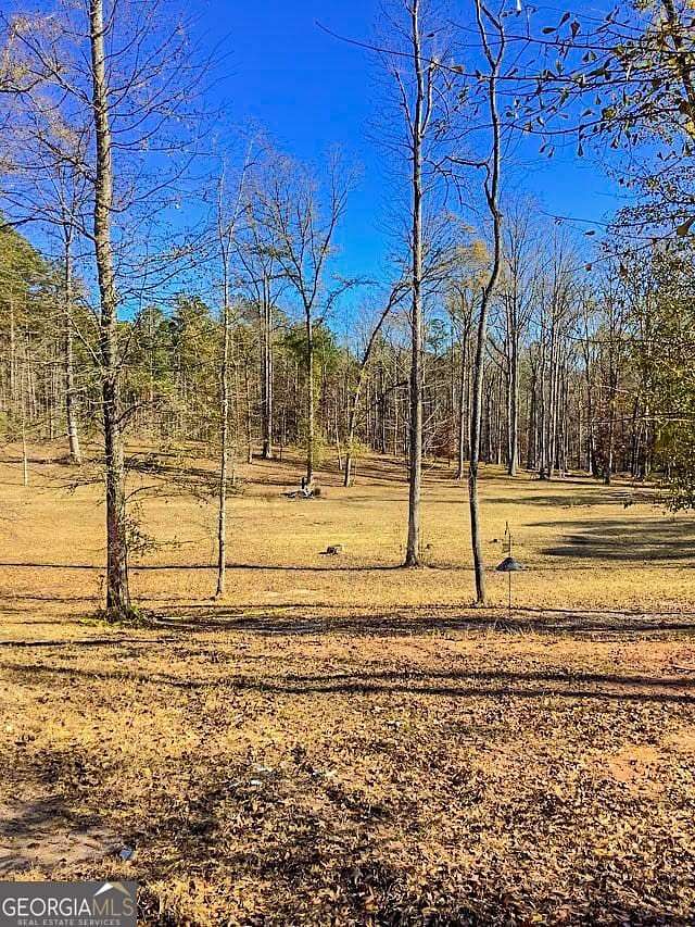 5 Acres of Residential Land for Sale in Fayetteville, Georgia