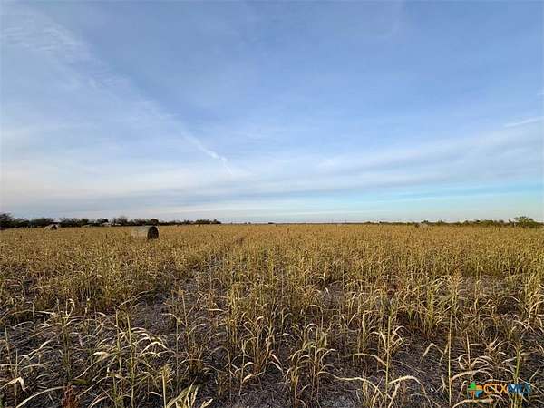 11.9 Acres of Land with Home for Sale in Buckholts, Texas