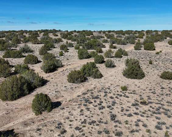 1.2 Acres of Residential Land for Sale in Concho, Arizona