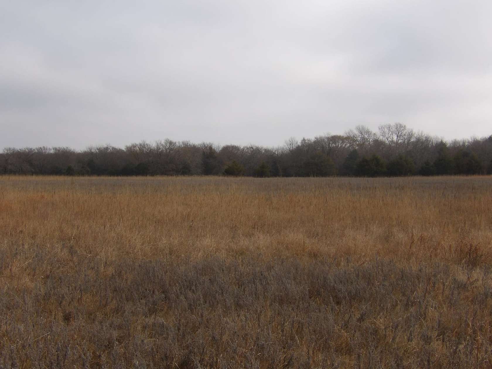 70 Acres of Land for Sale in Coleman, Oklahoma