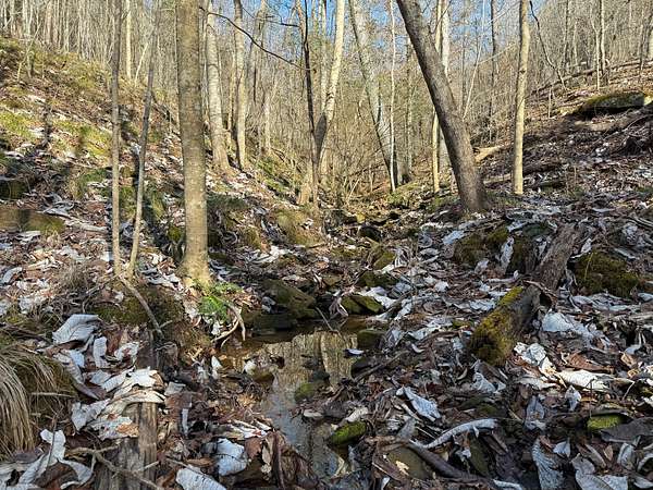 9.5 Acres of Residential Land for Sale in Addison, Alabama