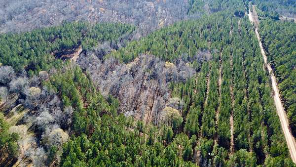 40 Acres of Recreational Land for Sale in Roanoke, Alabama