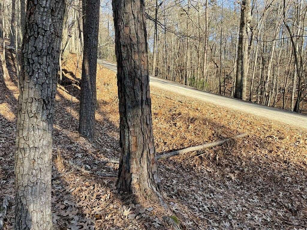 0.65 Acres of Land for Sale in Ellijay, Georgia