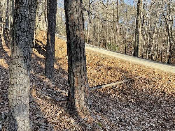0.65 Acres of Land for Sale in Ellijay, Georgia