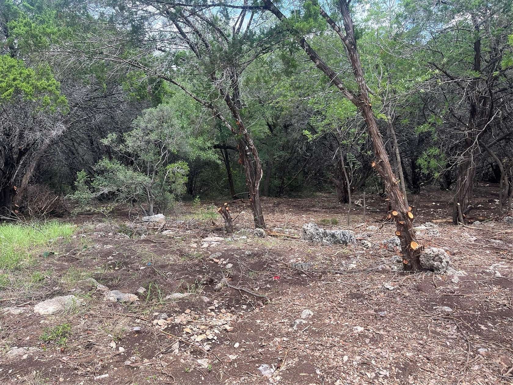 0.37 Acres of Land for Sale in Lago Vista, Texas