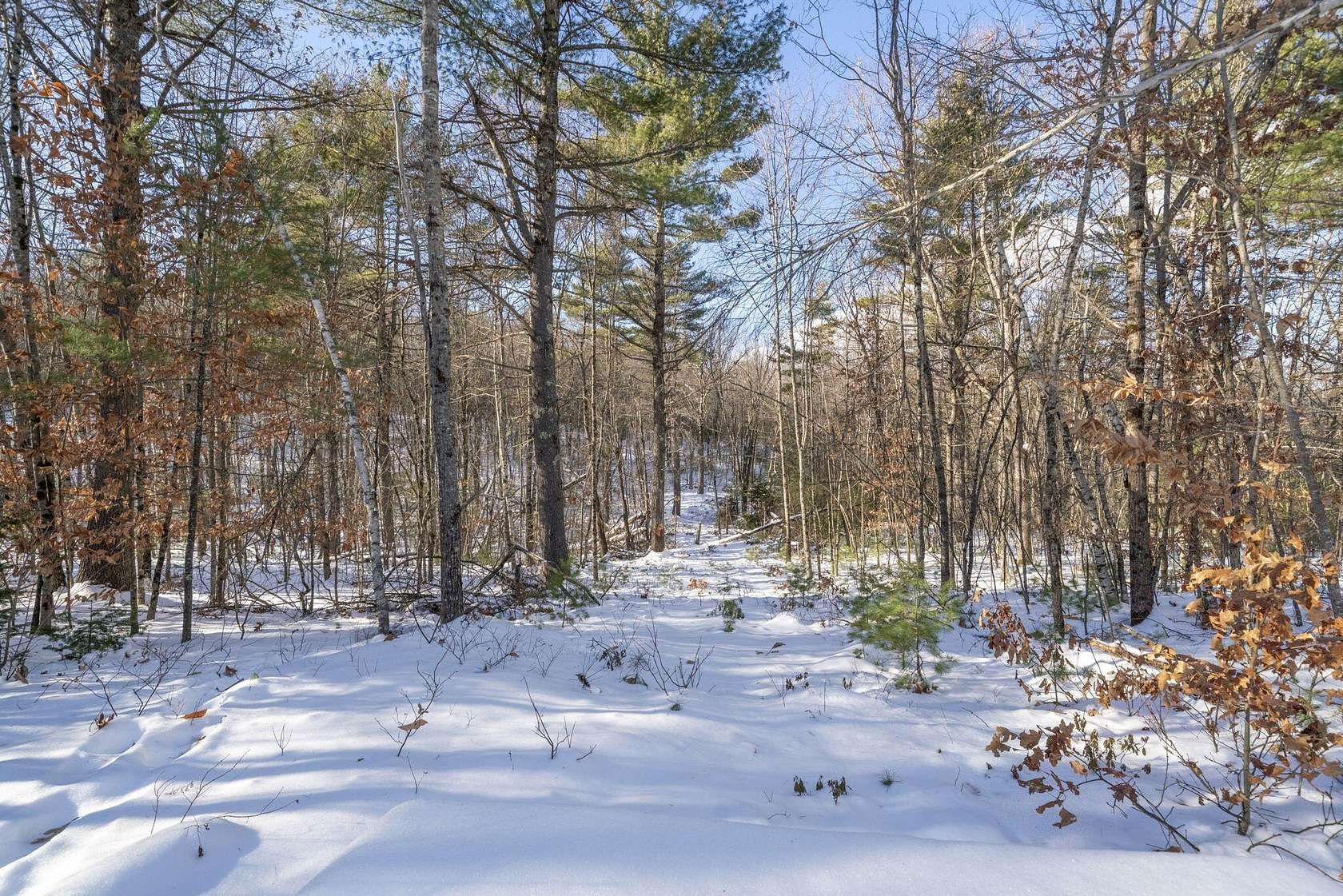 13 Acres of Recreational Land for Sale in Waterboro, Maine