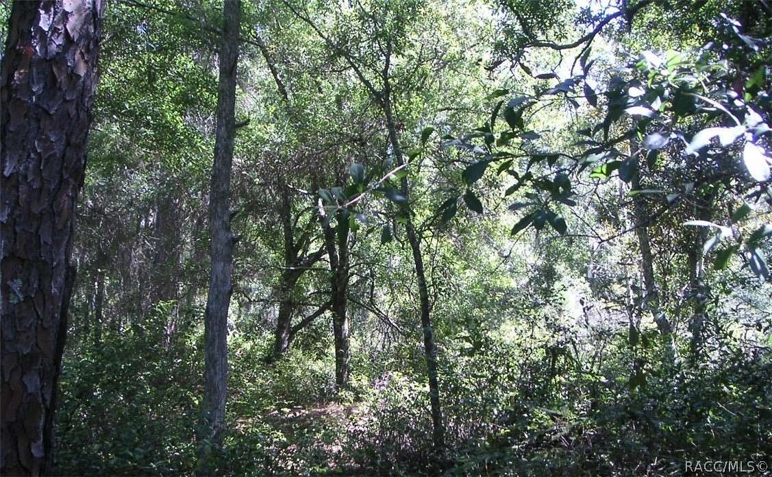 1.16 Acres of Residential Land for Sale in Crystal River, Florida