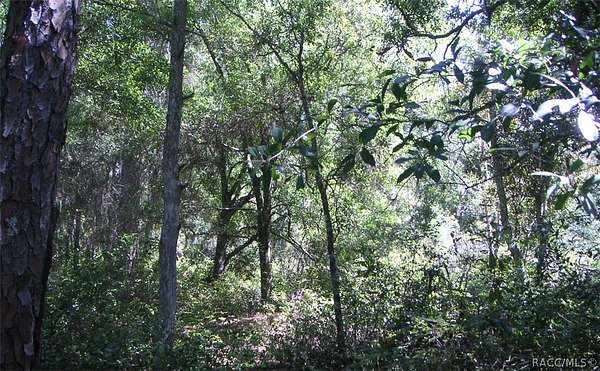 1.16 Acres of Residential Land for Sale in Crystal River, Florida