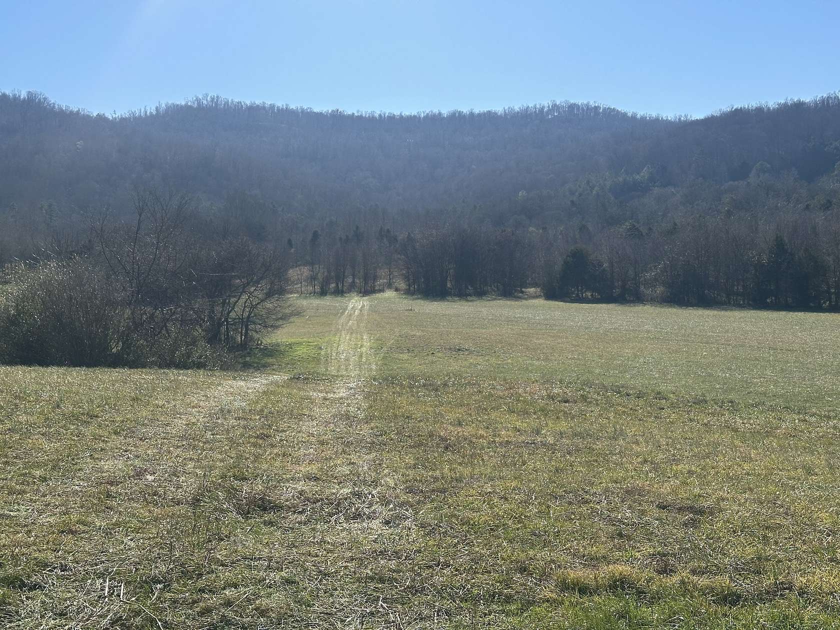 62.4 Acres of Land for Sale in Sparta, Tennessee