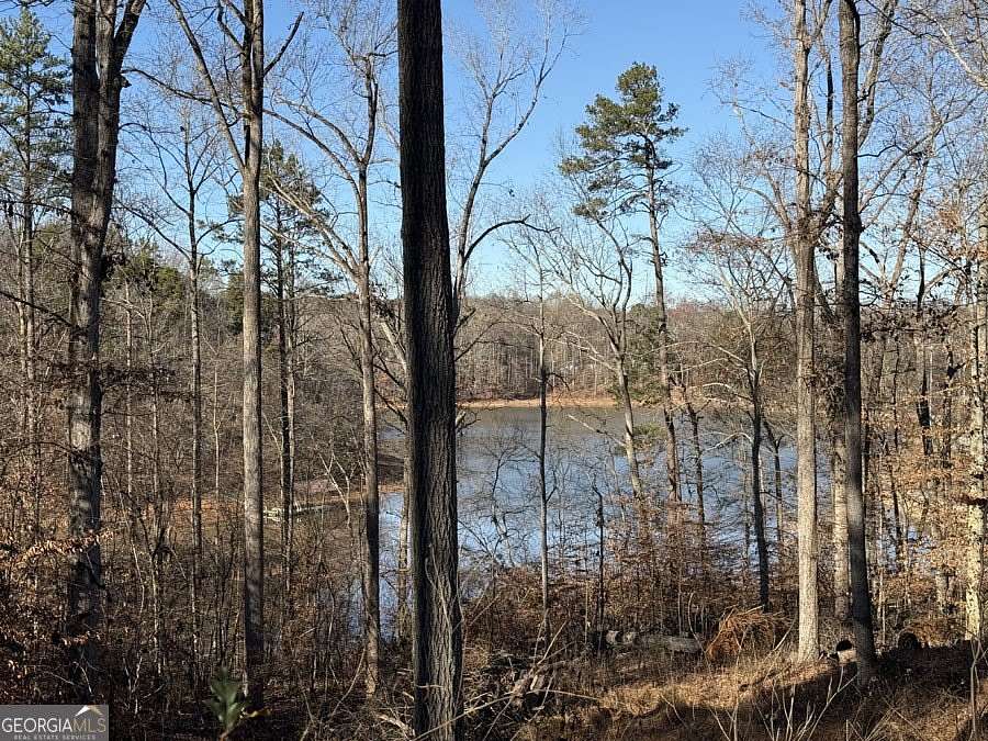 0.2 Acres of Land for Sale in Lavonia, Georgia