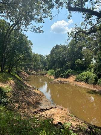 65 Acres of Recreational & Residential Land for Sale in Haughton, Louisiana