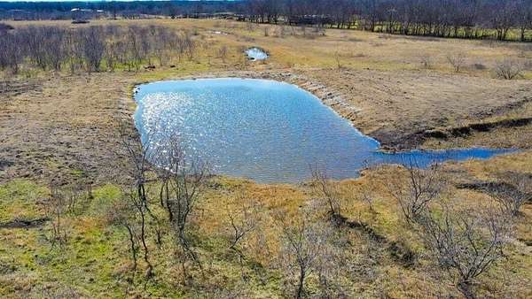 78 Acres of Agricultural Land for Sale in Dawson, Texas