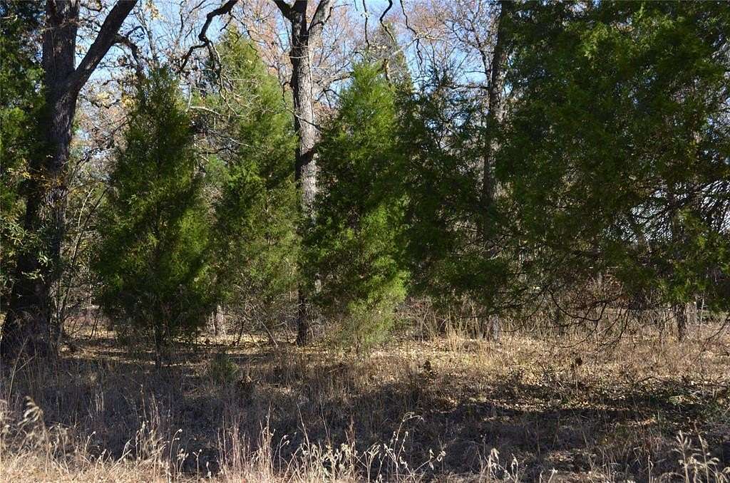 0.25 Acres of Residential Land for Sale in Malakoff, Texas