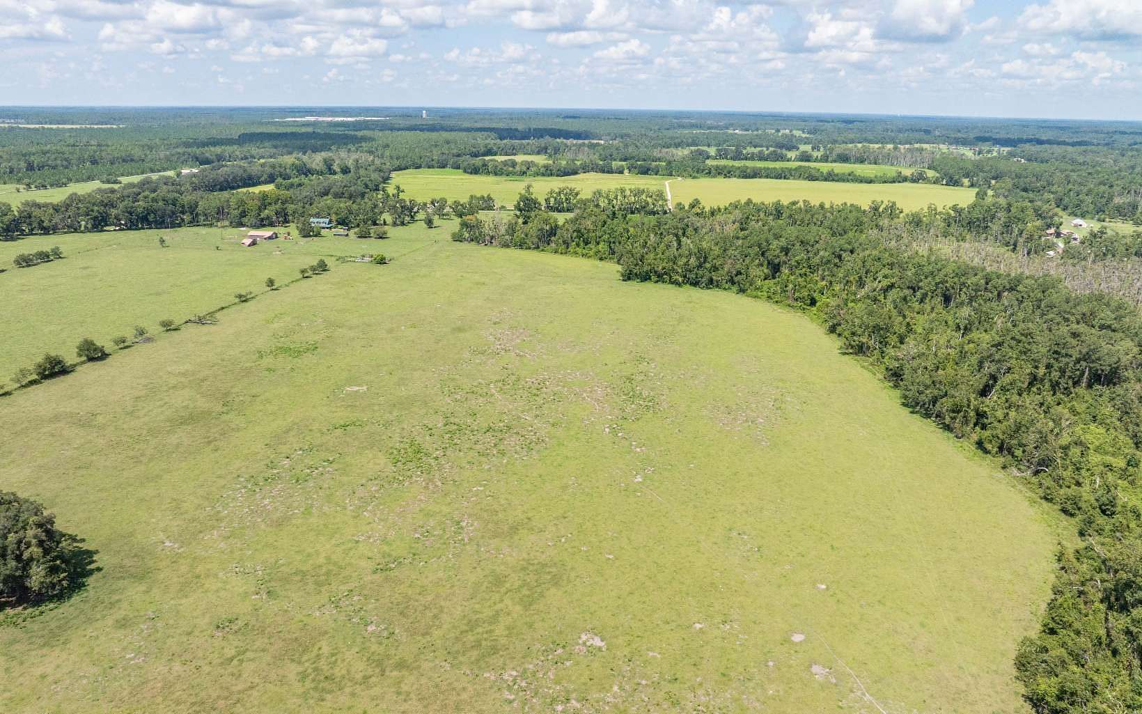 120 Acres of Agricultural & Residential Land for Sale in Wellborn, Florida