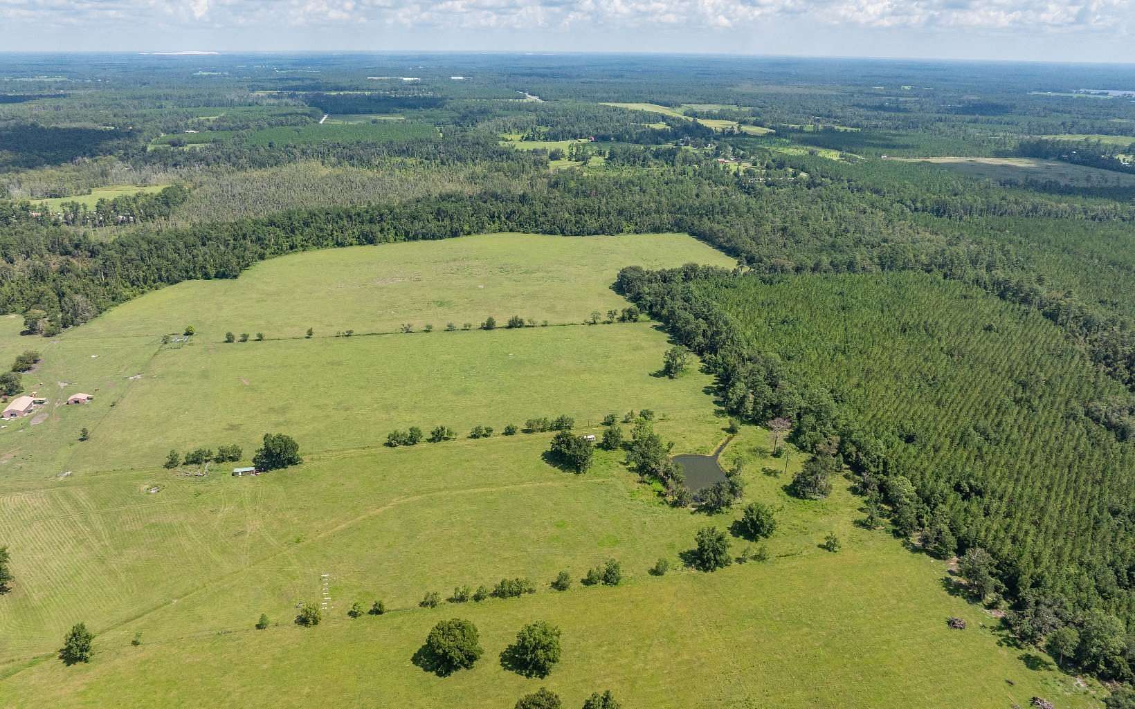 120 Acres of Agricultural & Residential Land for Sale in Wellborn, Florida