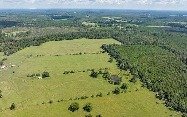 120 Acres of Agricultural & Residential Land for Sale in Wellborn, Florida