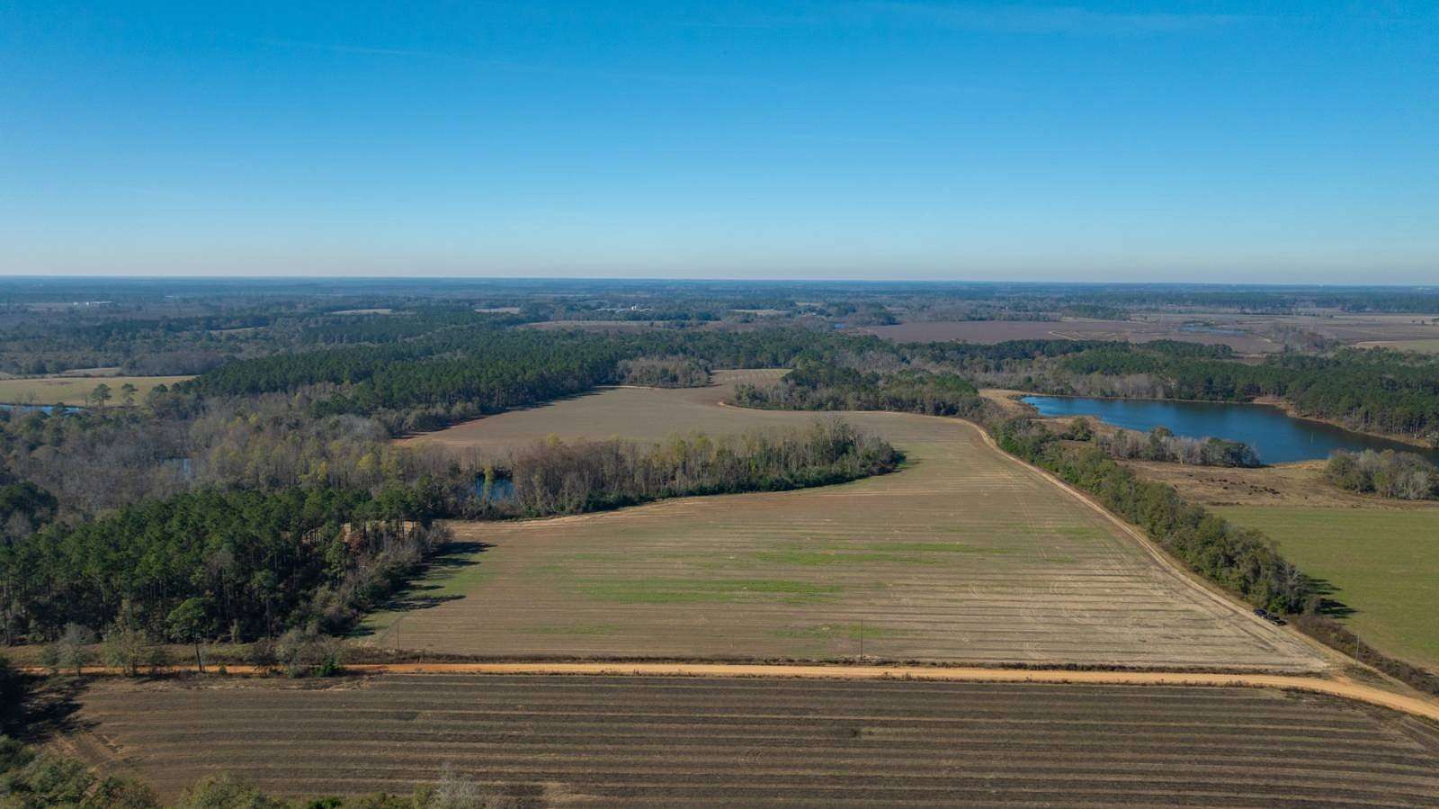 157 Acres of Land for Sale in Wray, Georgia